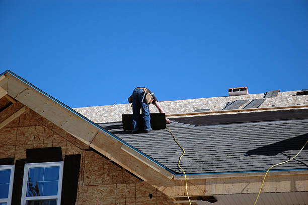 Best Roof Insulation Installation  in Hart, MI