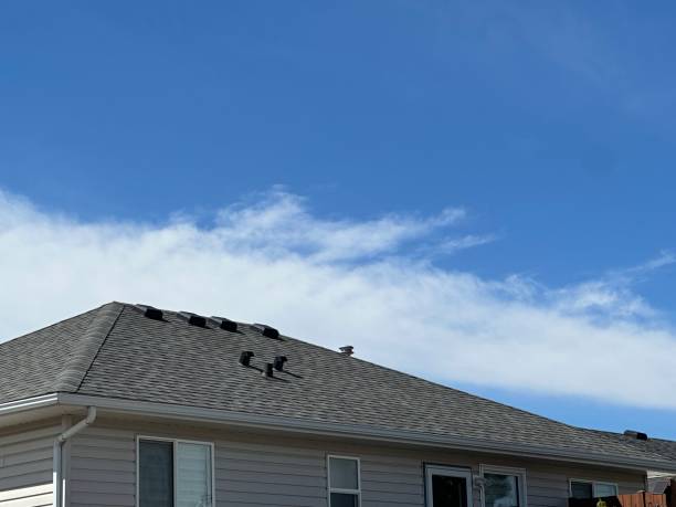 Best Hot Roofs  in Hart, MI